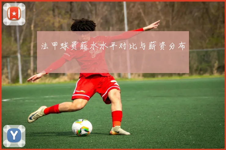法甲球员薪水水平对比与薪资分布