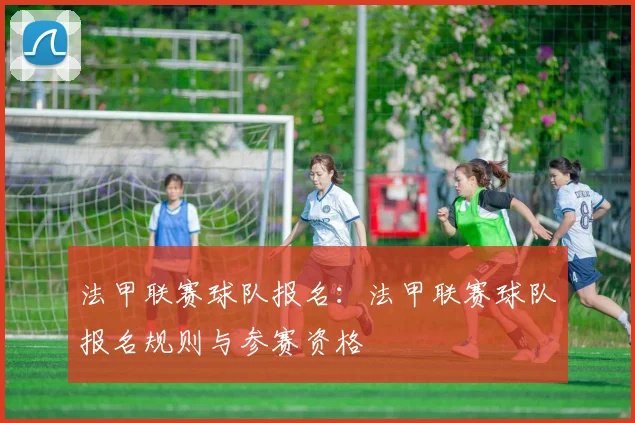 法甲联赛球队报名：法甲联赛球队报名规则与参赛资格