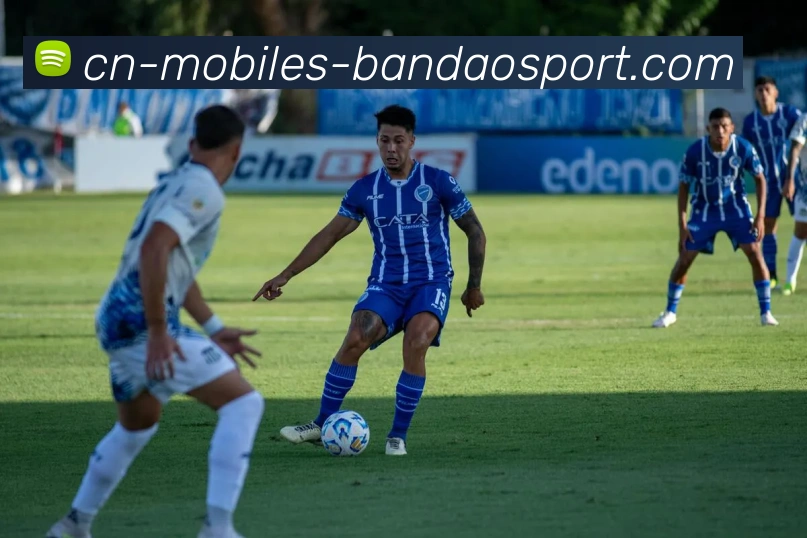 半岛体育服务体系