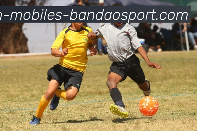 半岛体育APP 体育赛事宣传图